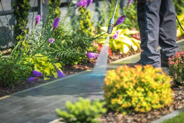 Best Sidewalk and Walkway Cleaning  in Syracuse, NY